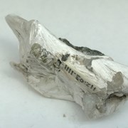 Cover image of Actinolite; Tremolite Mineral